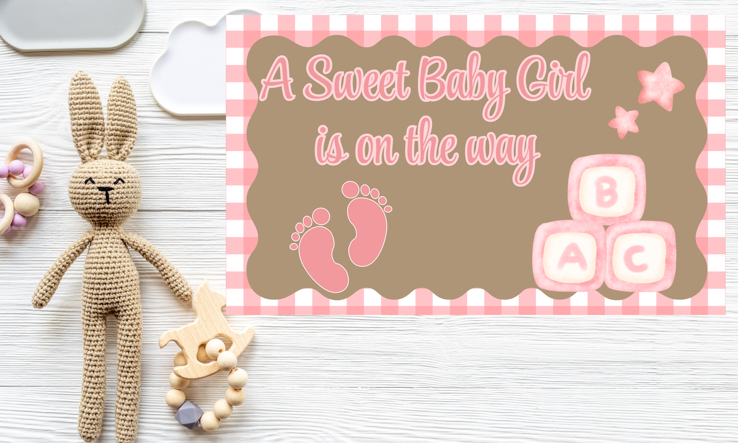 Baby Girl Shower Banner | Plaid Border | 3ft x 5ft Hand Painted Banner
