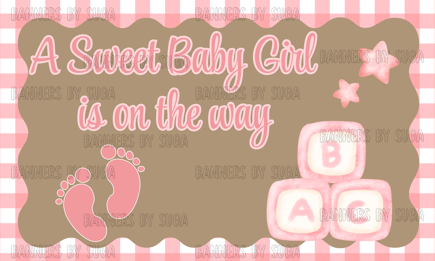 Baby Girl Shower Banner | Plaid Border | 3ft x 5ft Hand Painted Banner