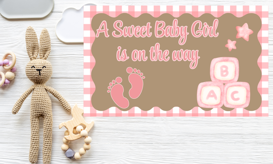 Baby Girl Shower Banner | Plaid Border | 3ft x 5ft Hand Painted Banner