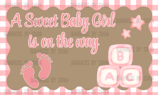 Baby Girl Shower Banner | Plaid Border | 3ft x 5ft Hand Painted Banner